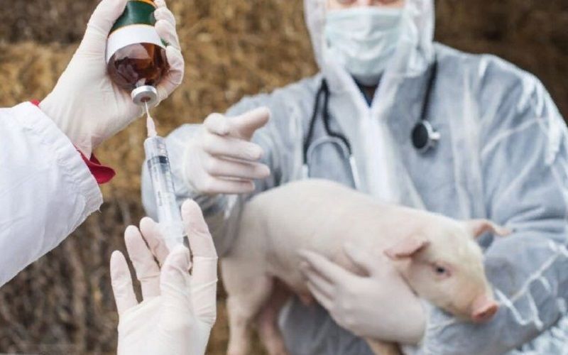 В Восточном Казахстане построят новые ветеринарные станции и скотомогильники