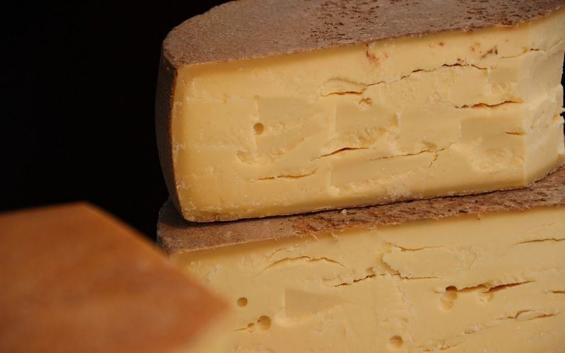 Lácteos: New Study Highlights the Unique Impact of Milk and Cheese on Gut Microbiota