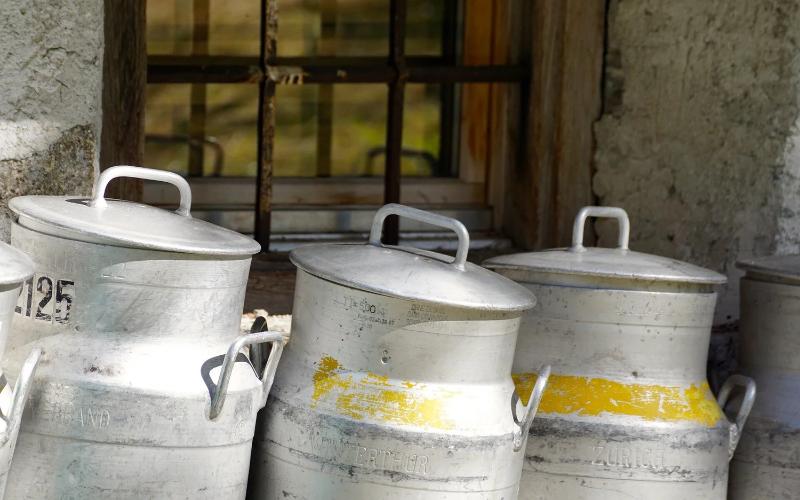 Strategic Investment: Milk Collection Centers Reactivated