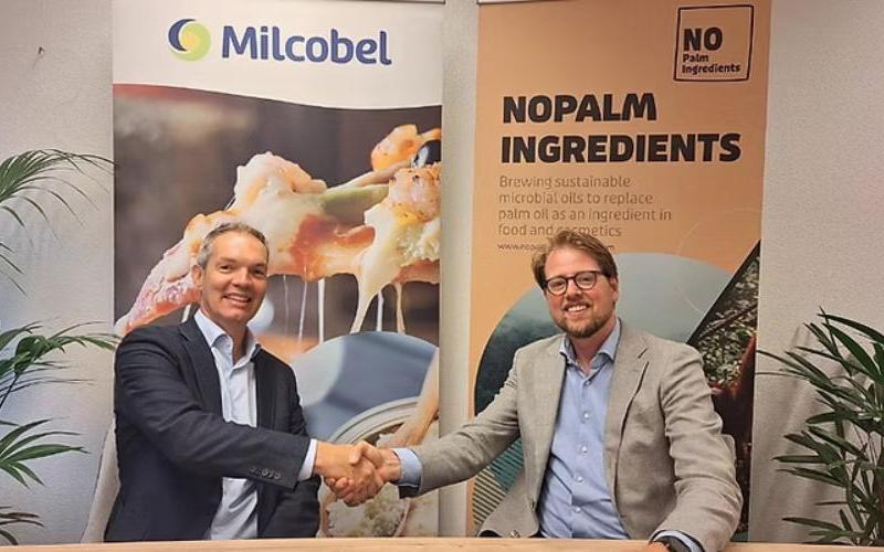 NoPalm and Milcobel Innovate in Sustainable Palm Oil Alternatives