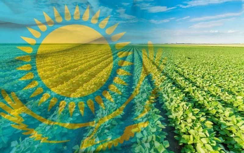 Кайрат Бисетаев: Обсуждение субсидий - отвлечение внимания рынка от коренных проблем сельхозотрасли Казахстана