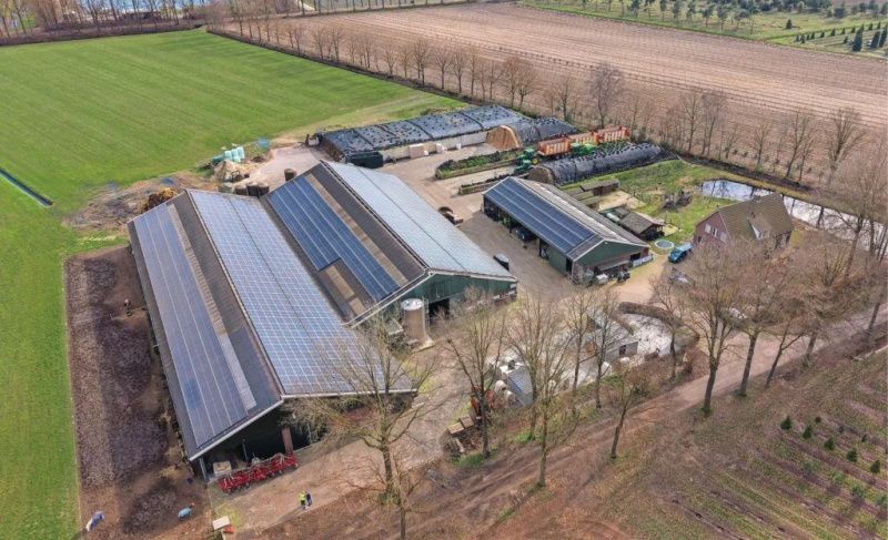 A dairy farm expands to 230 cows without adding staff