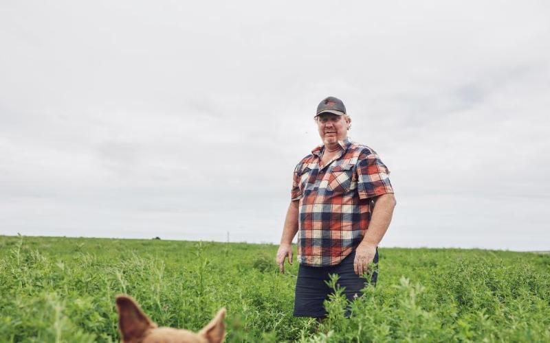 Surprising pay-off from a $6m robotic dairy gamble