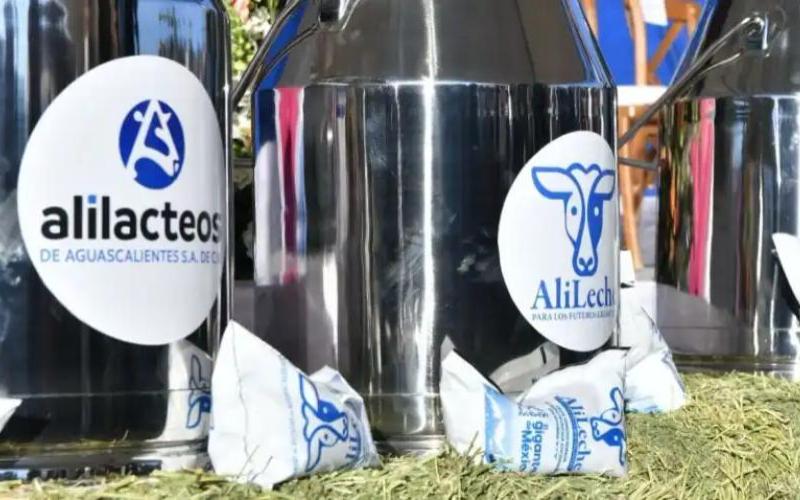 مبادرة Alileche تهدف إلى تعزيز صناعة الألبان المحلية في أغواسكالينتس