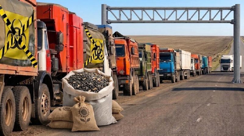 كازاخستان تطلب تعليق استيراد بذور عباد الشمس من روسيا