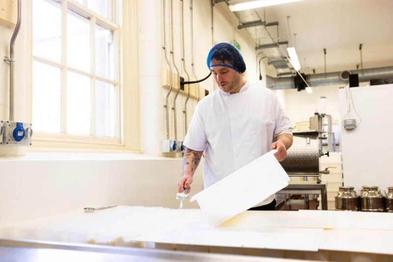 RAW: The Story of a Small Cheese will be released in November