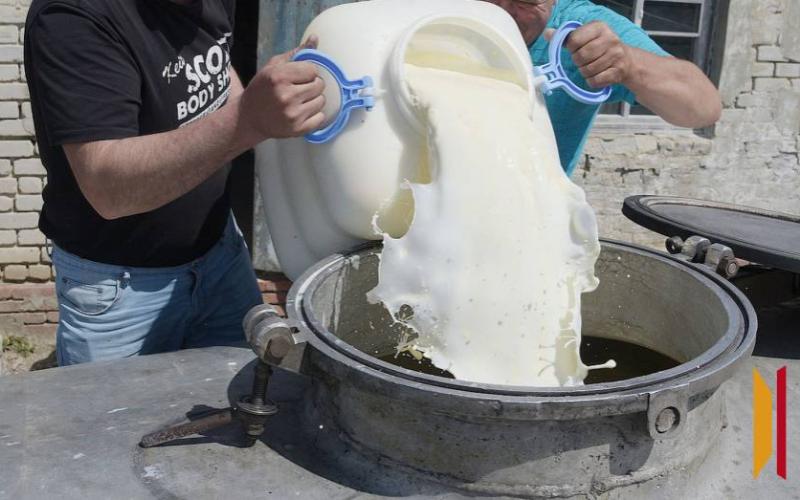 Guanajuato'da "Süt Huachicol" ile Mücadele İçin Yardım Çağrısı