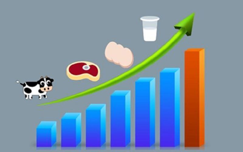 В Республике Каракалпакстан произведено 16,4 тыс. т мяса за три месяца 2023 года