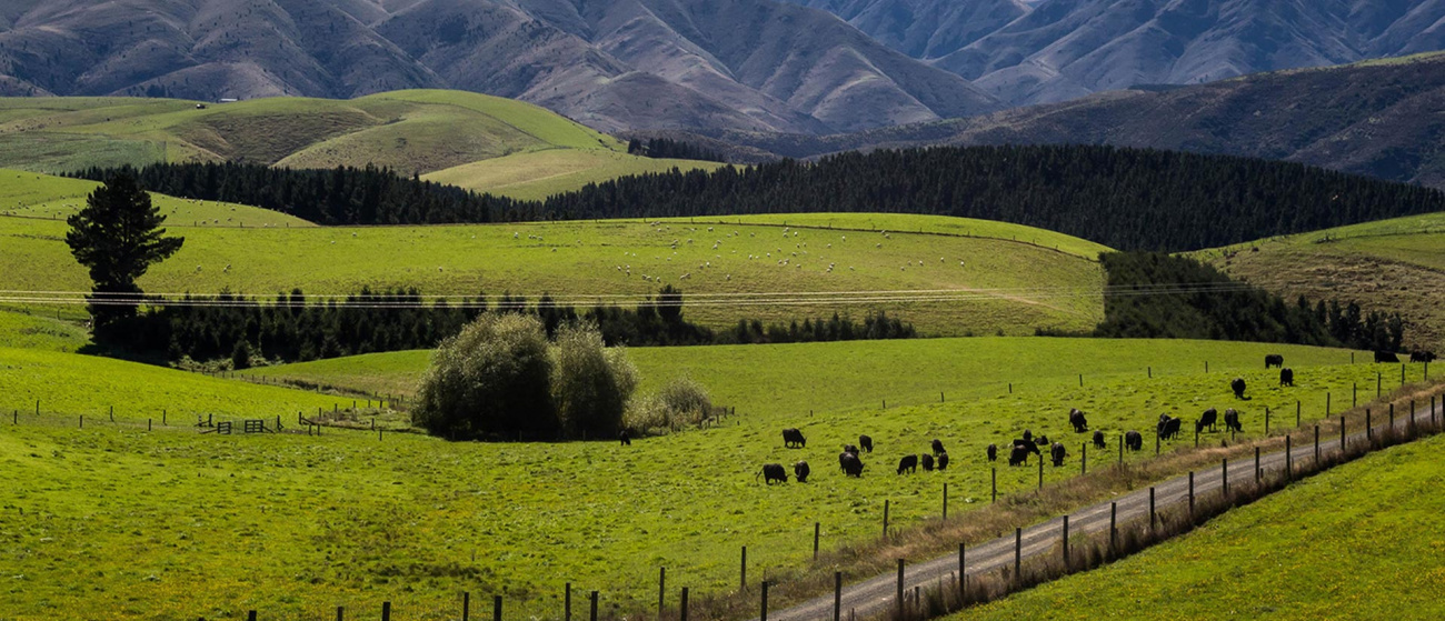 Can the National Party's policies and initiatives potentially contribute to the growth and success of the farming industry?