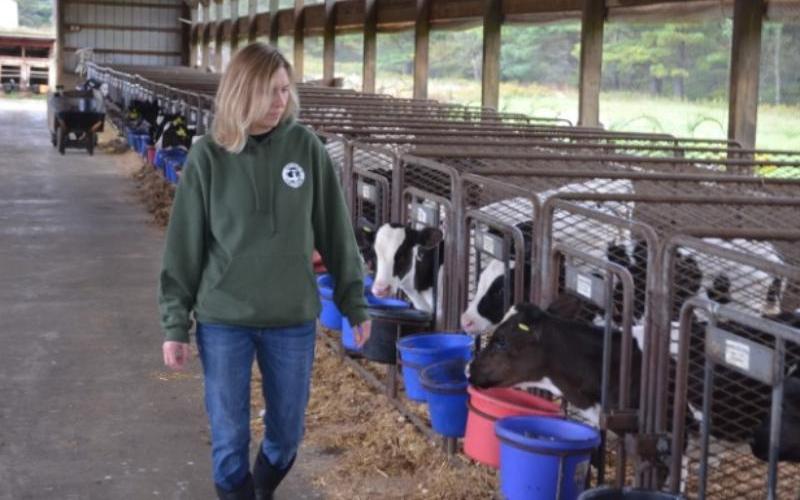 Dairy Checkoff Introduces Grant Database for U.S. Farmers