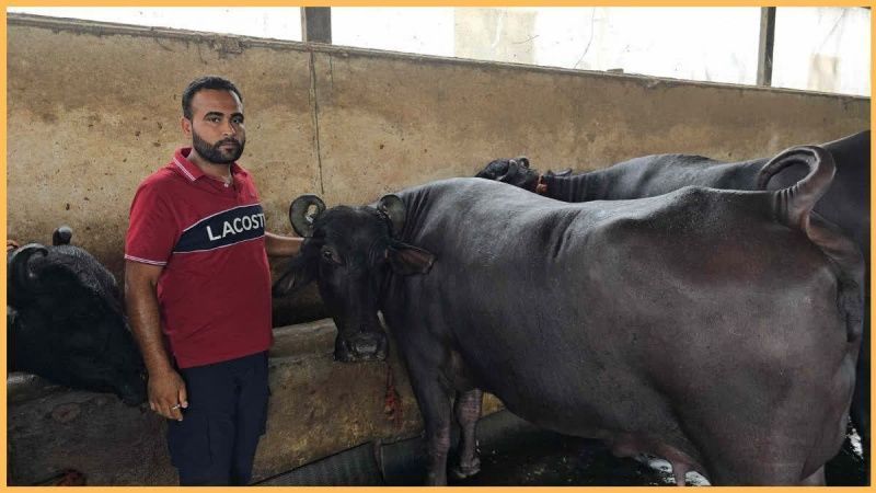Robin amplía su negocio de leche a ₹10 lakh mensuales en Karnal