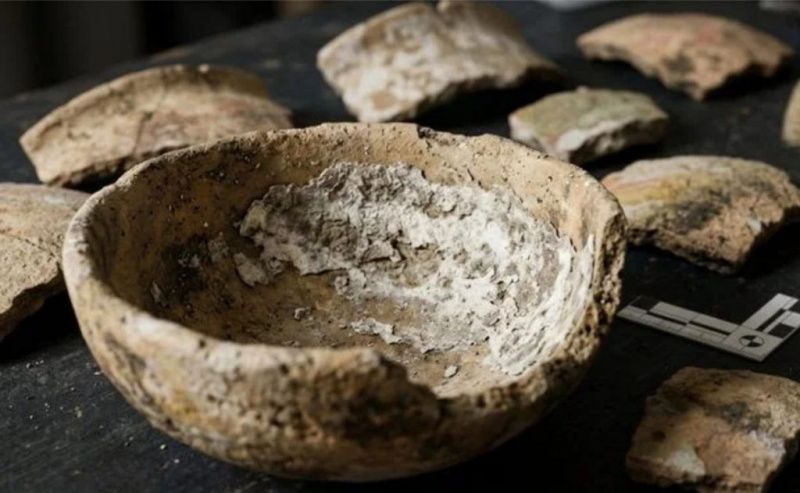 Proteins Point to Cheese-Making in Prehistoric Çatalhöyük