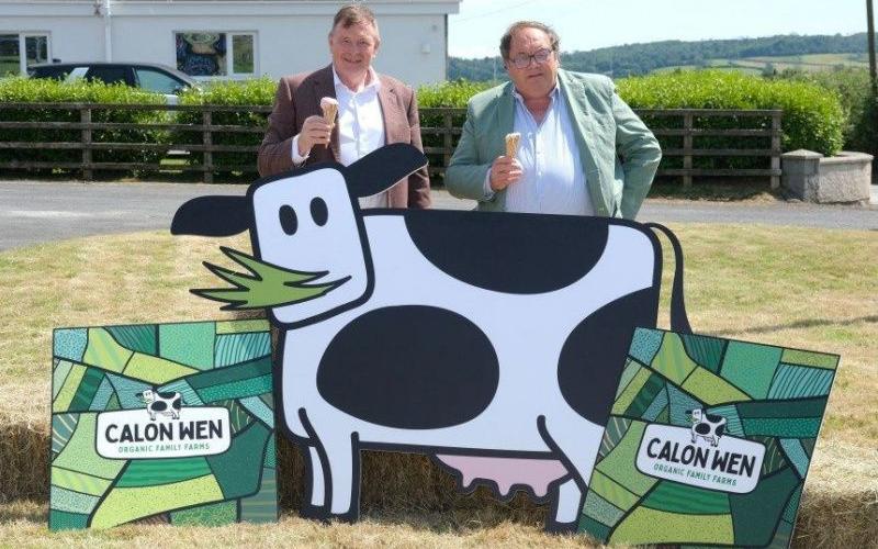 Calon Wen Marks 25 Years with Branding Refresh and Ice Cream Launch