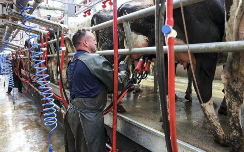 Los agricultores irlandeses critican los retrasos en el esquema TAMS para inversiones en lácteos