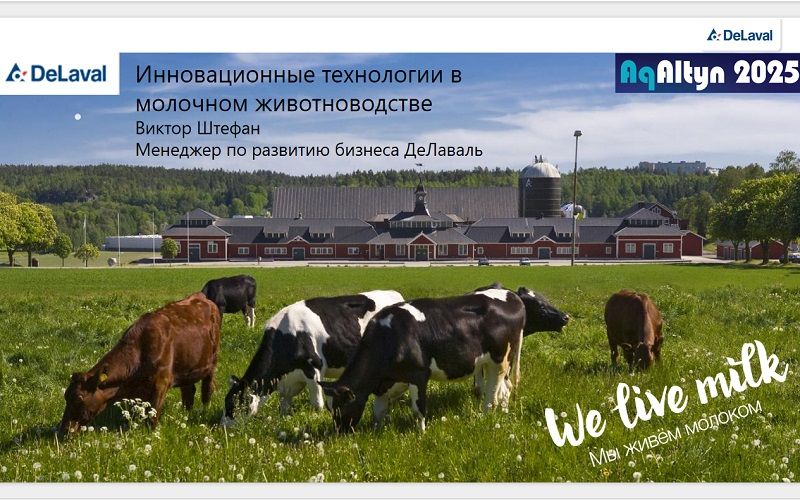 Виктор Штефан, DeLaval: 