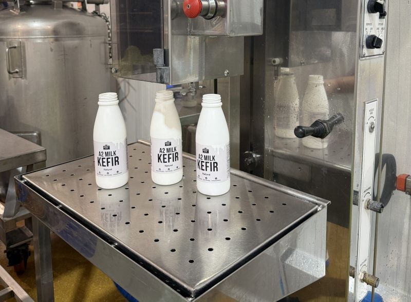 Jersey Dairy'nin yeni kefiri iki hafta içinde tükendi