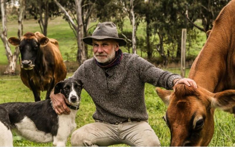 Michael Wohlstadt's Jersey Herd: Key to Award-Winning Dairy Success