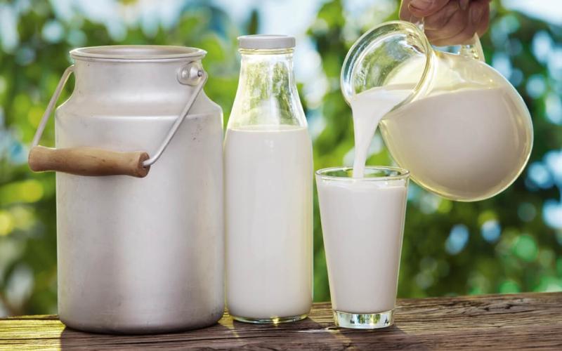 Выборы в Amul Dairy: секретная сделка между БДП и Конгрессом