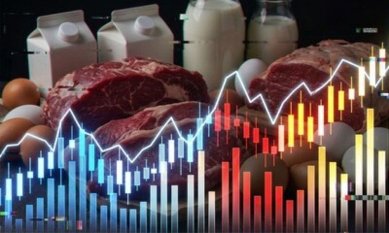 دور البرازيل الرائد في سلاسل الإمداد العالمية للبروتين الحيواني