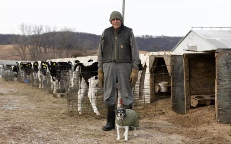 Immigration Enforcement Poses Risk to Wisconsin's Dairy Industry