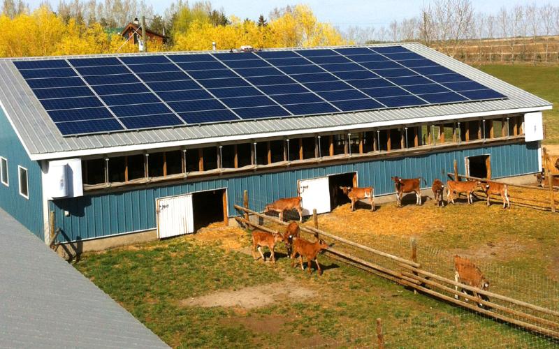 Dairy Farms to Benefit from New Solar Energy Support Program