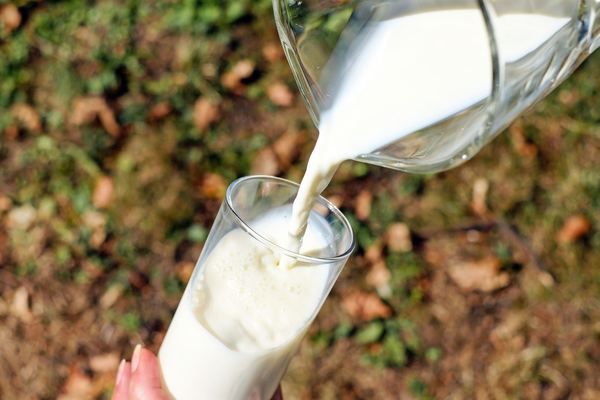 UCCL urges Spanish authorities to update milk production cost study