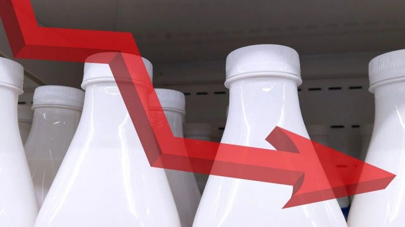 US Dairy Farmers Face Rising Feed Costs and Margin Pressure