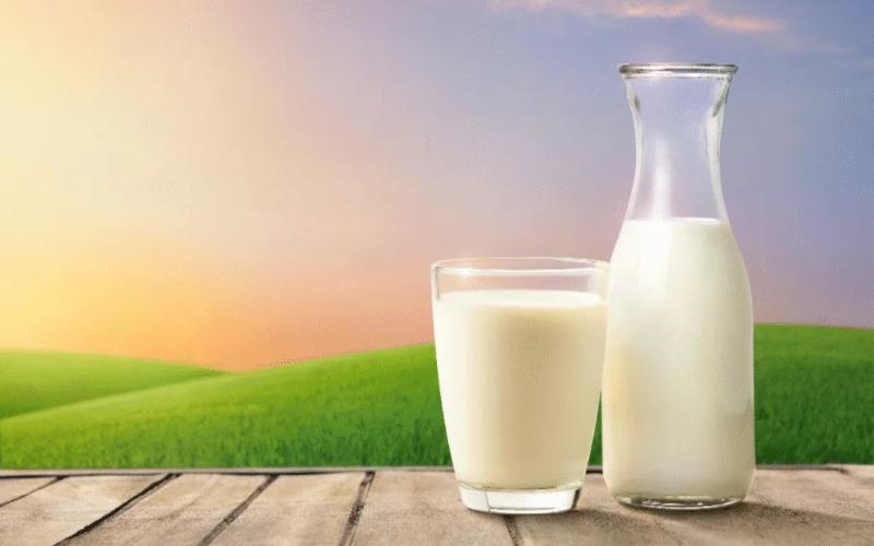 2026 İçin ABD Sınıf I Süt Fiyatlarında Dramatik Düşüş