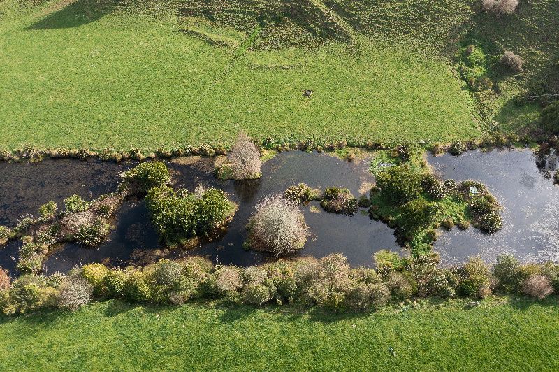 Tihiroa Farms Limited Fined for Environmental Breach in New Zealand