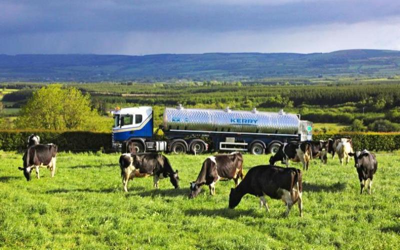 La industria láctea irlandesa enfrenta desafíos ante el aumento de costos y la caída de los precios de la leche