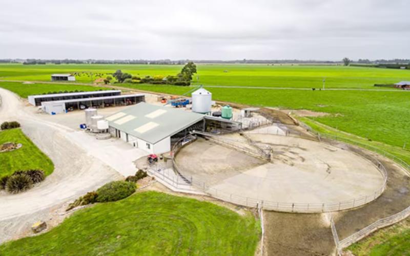 Laguna Bay Acquires Three Dairy Farms in New Zealand's South Island