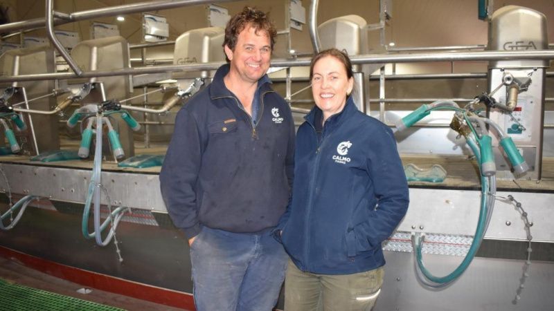 Calmo Farms Unveils Advanced GEA T8900 Rotary Dairy System