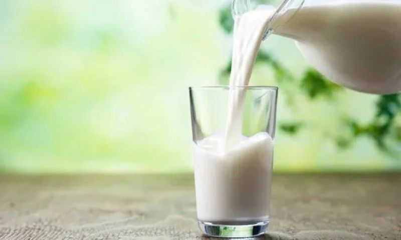The Journal of Nutrition: dairy trial finds no weight gain or worsening cholesterol