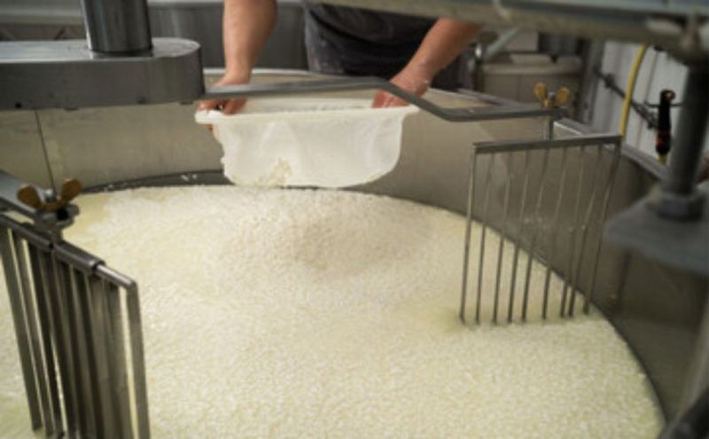 Whey Protein Shortage Alters Trade Relations in Dairy Industry