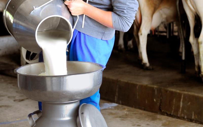 The Ecuadorian Dairy Sector: Balancing Achievements and Challenges