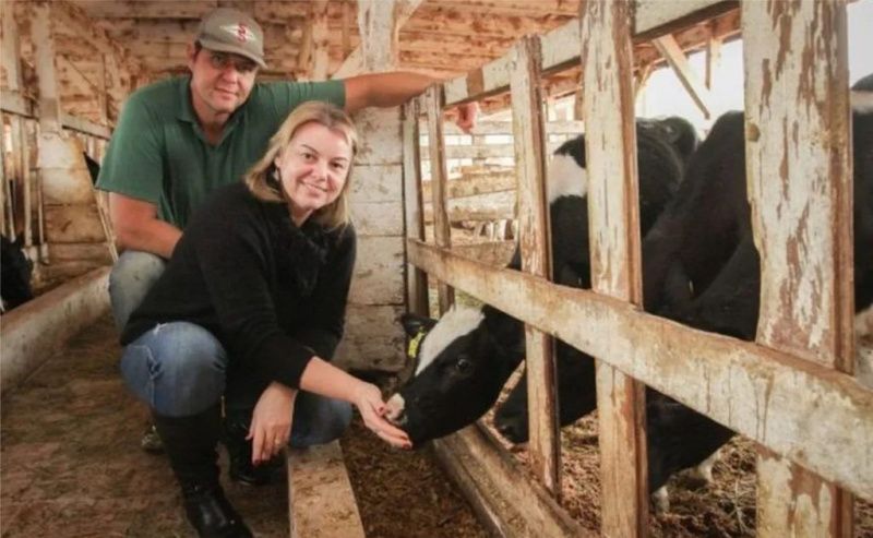 Introduction of Milk Futures Contracts Transforms Dairy Planning in Brazil