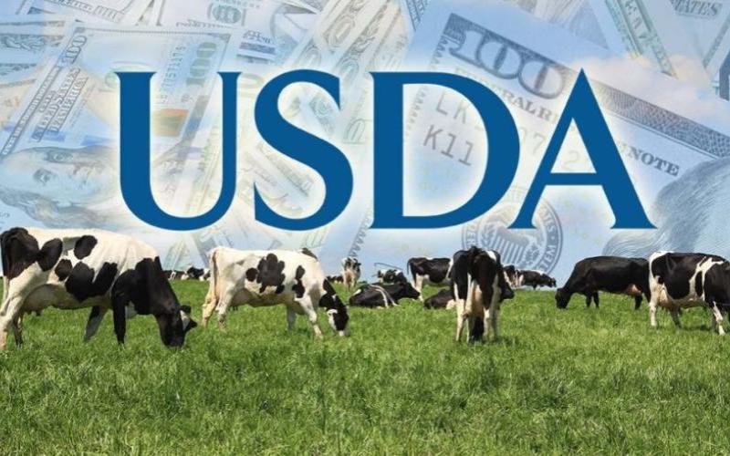 El USDA asigna nuevos fondos para mejorar el potencial de exportación de productos lácteos de EE. UU.
