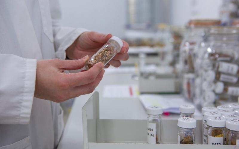 Iniciativa de Defra para probar alternativas biológicas para la fertilización en granjas lecheras