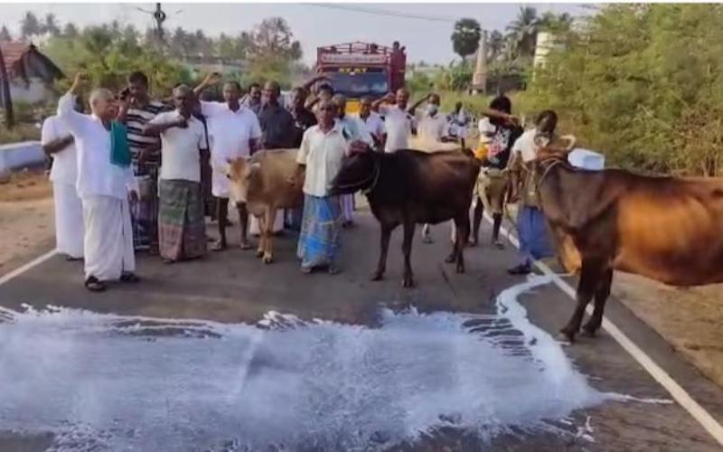 Pagos retrasados y recortes de precios afectan a los productores de lácteos de Tamil Nadu