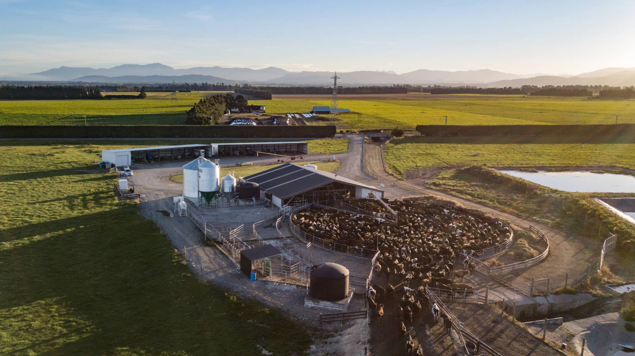 Dairying: A Solution for Mitigating Climate Change, Not a Source of the Problem