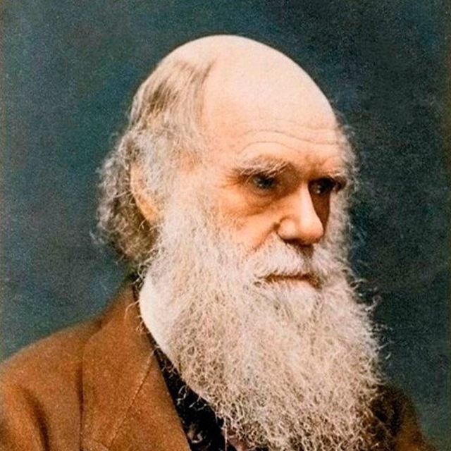 Дмитрий Грачёв