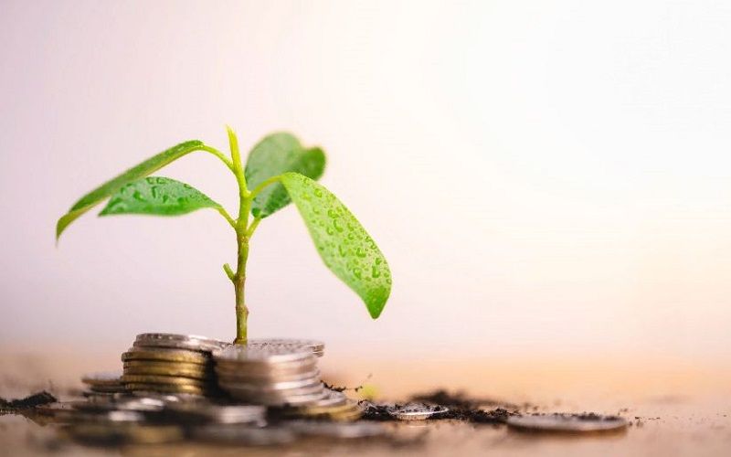 В Кыргызстане снизят ставки по сельхозкредитам до 3% по поручению президента В Кыргызстане снизят ставки по сельхозкредитам до 3% по поручению президента