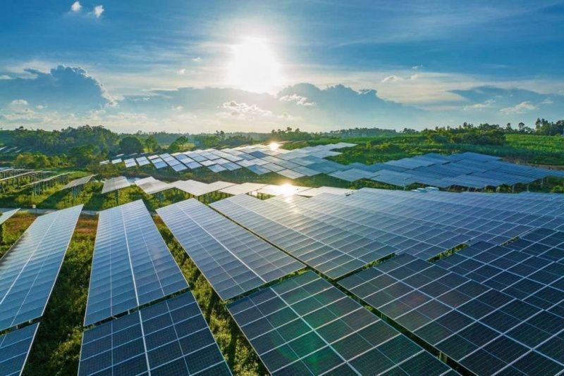 Milky Mist Dairy Commissions a 10 MW Solar Plant