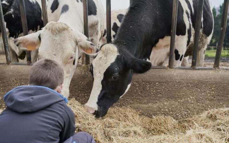 Labour Shortages Threaten Food Security in England