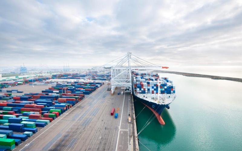 El programa de exportación de productos lácteos de EE.UU. alcanza 30 millones de libras en marzo