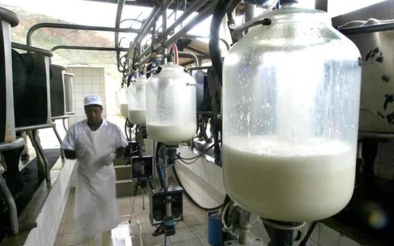 منتجو الألبان في سينالوا يحذرون من تقليد الحليب الذي يؤثر على السوق