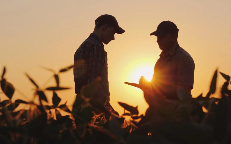 Rural Mental Health Crisis: A New Act for Farmers