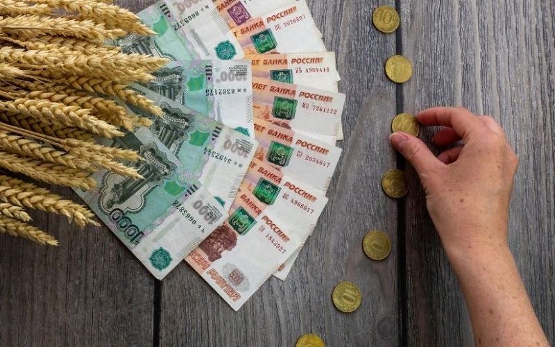 Курские аграрии с начала года получили господдержку на 2,7 млрд рублей