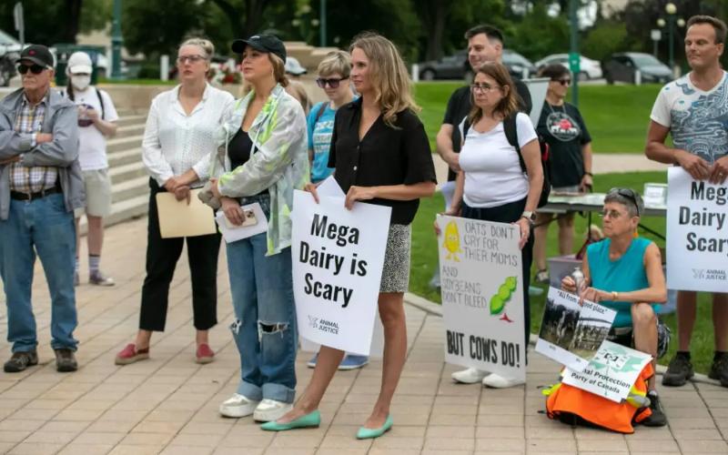 Sınır Ötesi Süt Ürünleri Gerilimleri: ABD Mega Çiftlikleri Winnipeg Gölü'nü Tehdit Ediyor