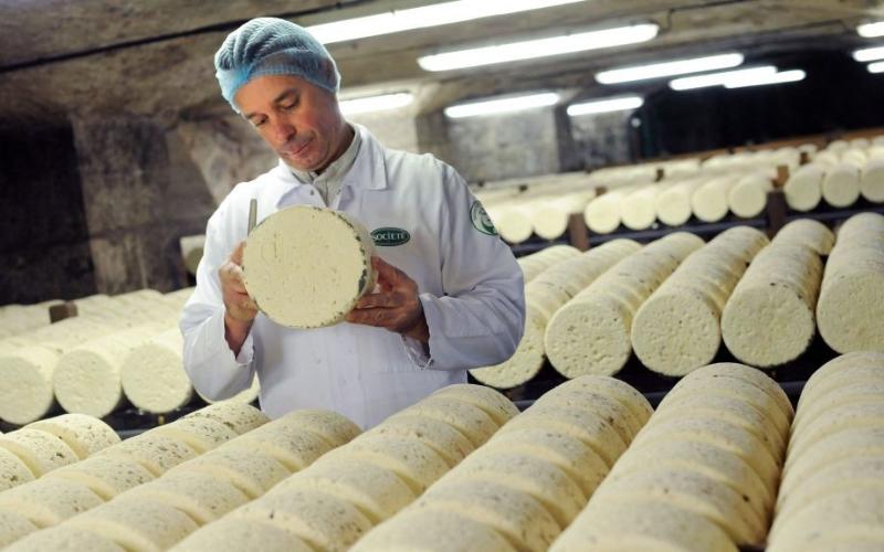China Extends Anti-Subsidy Probe into EU Dairy Imports Amidst Trade Tensions